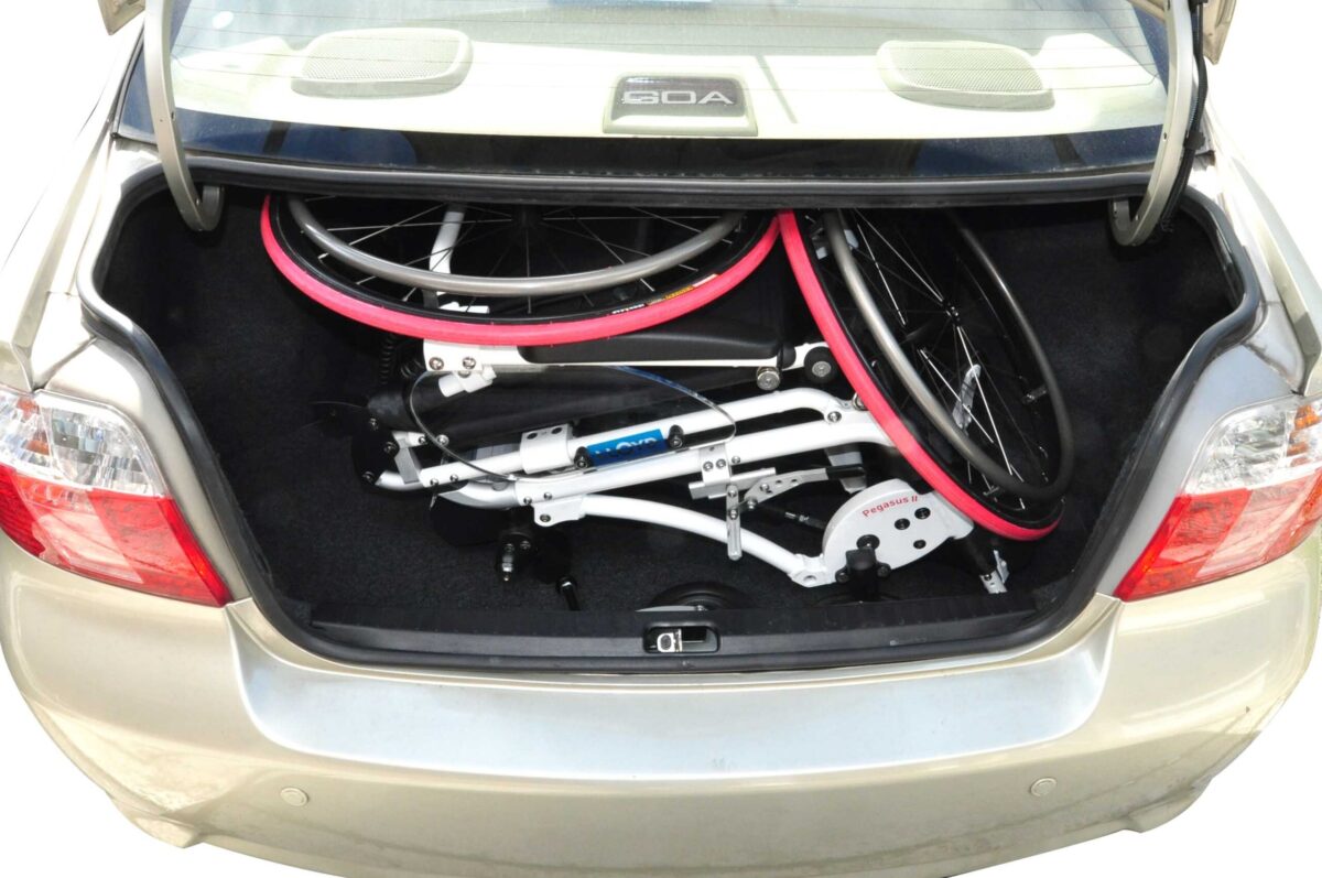 Pegasus in car trunk